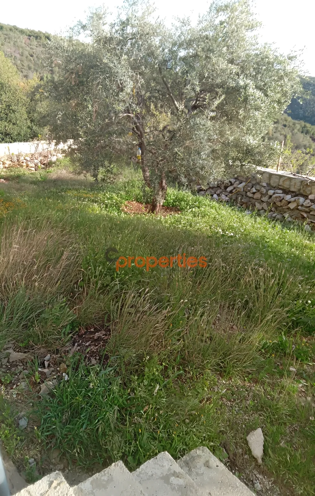 Villa for Sale in Blat