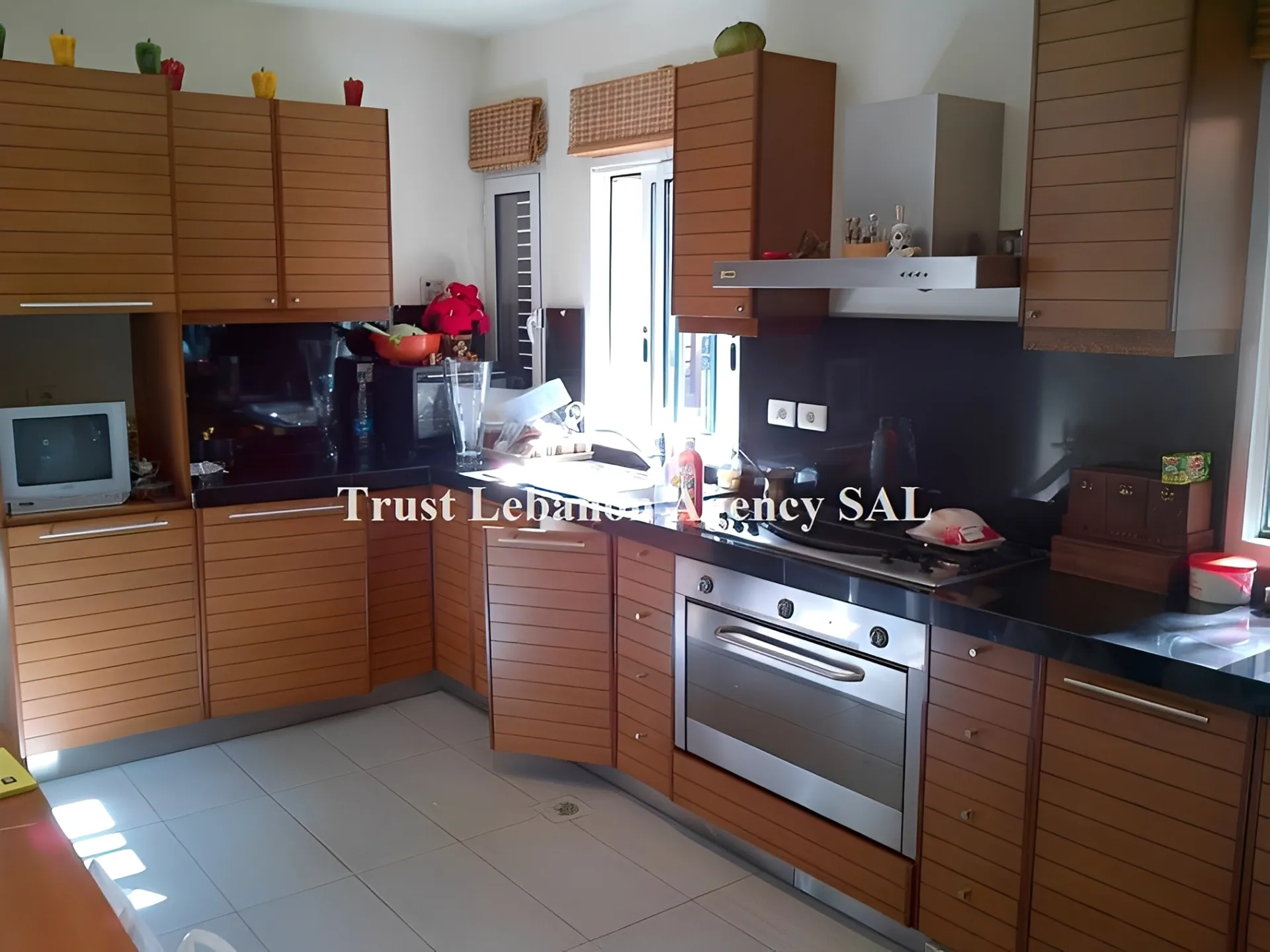 Villa for Sale in Metn Roumieh Lebanon