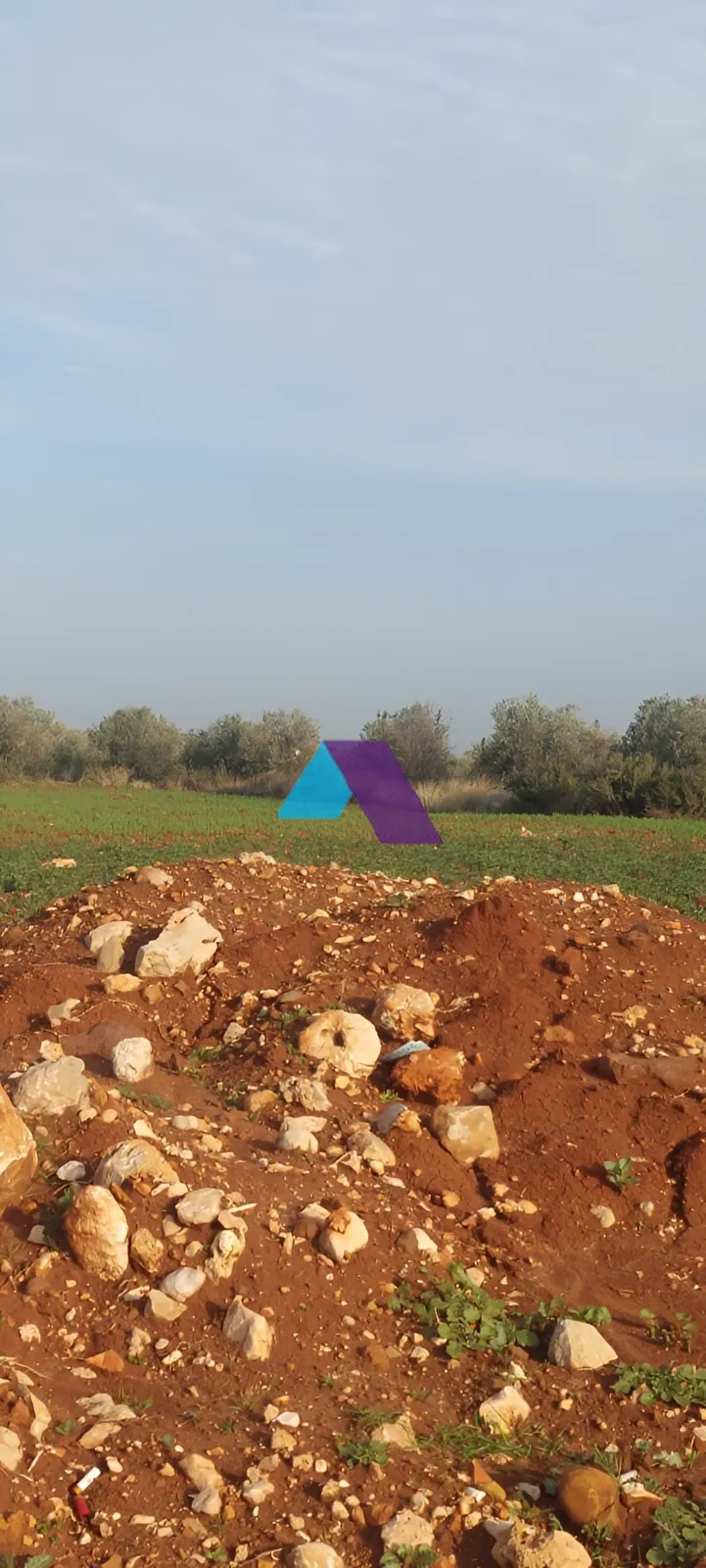 Land for Sale in Bsarma