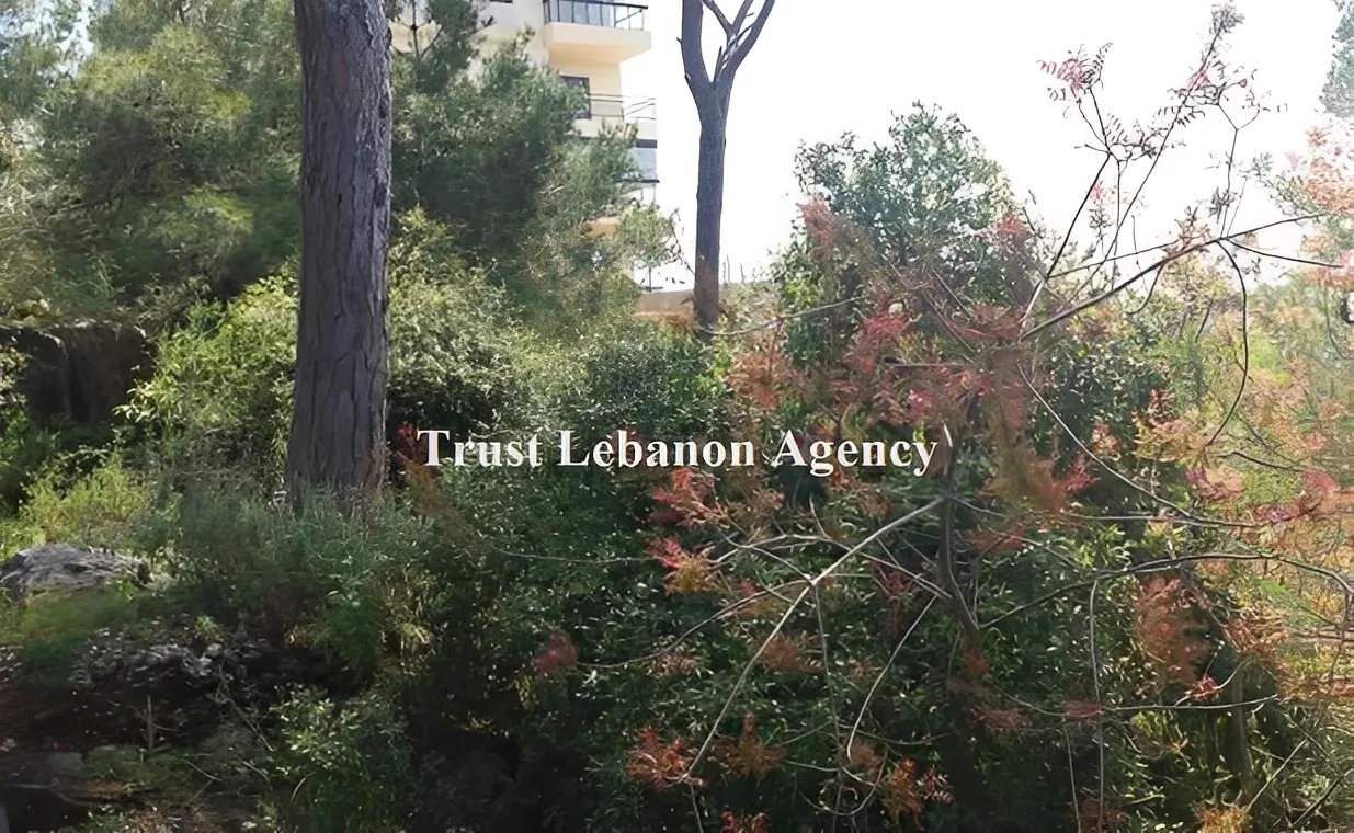 Land for Sale in Baabda, Kortada