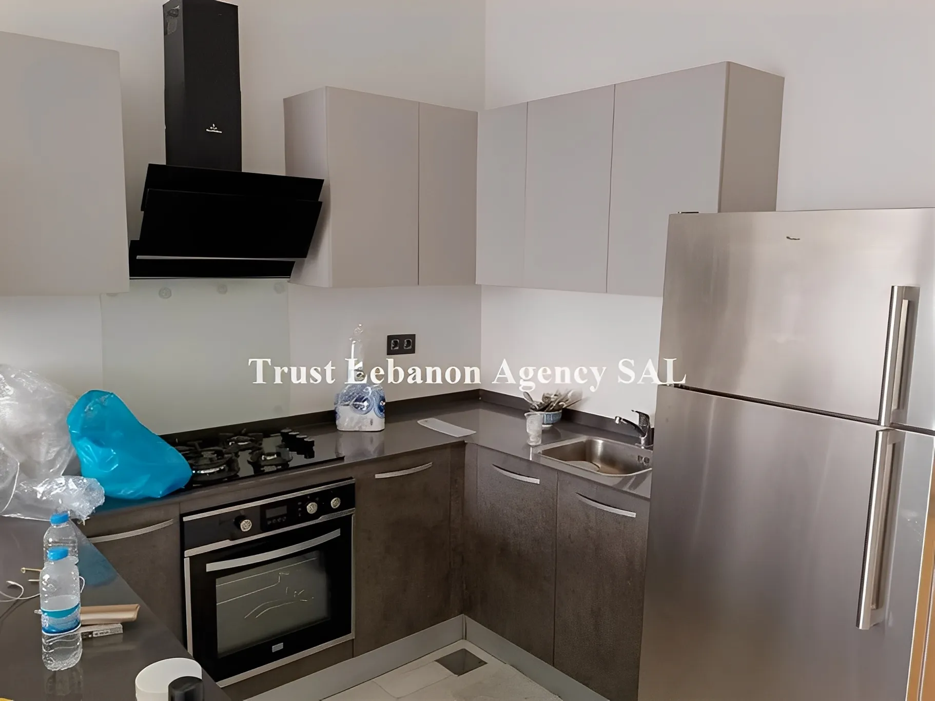 Apartment for Rent in Achrafieh Sioufi Lebanon