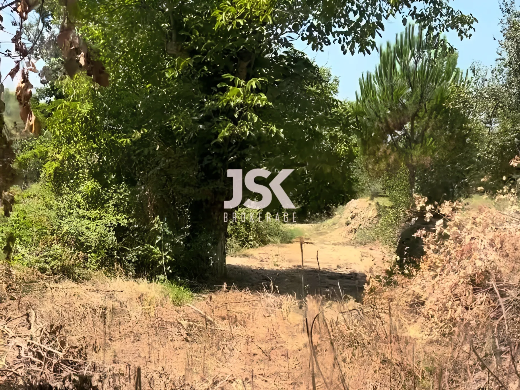 Land for Sale in Aley