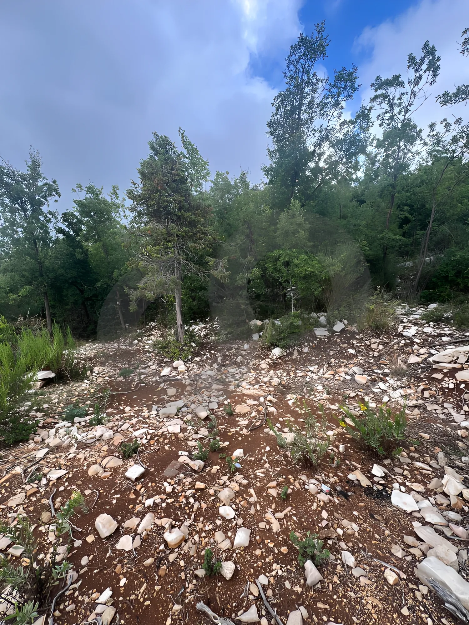 Land for Sale in Mechmech