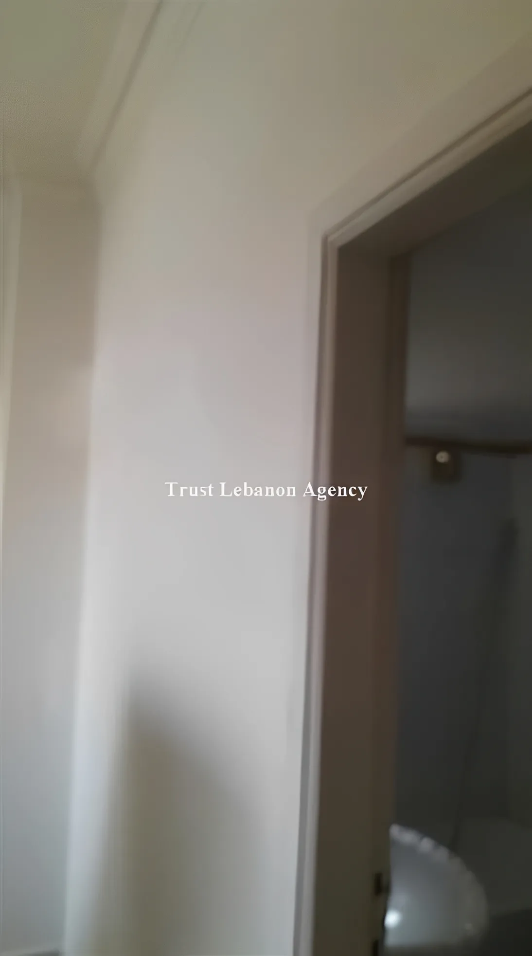 Apartment for Rent in Tayouneh Beirut Lebanon