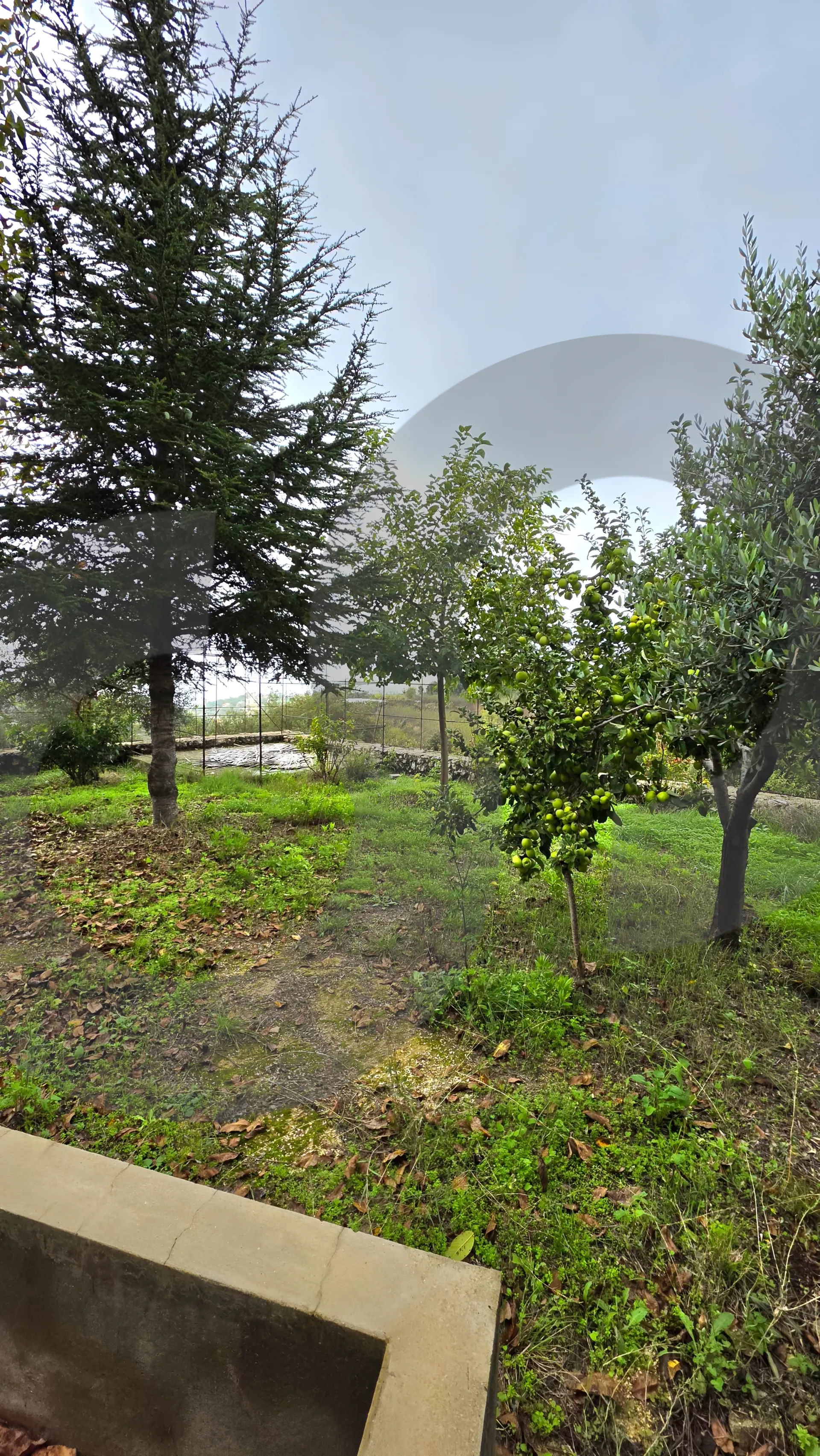 Land for Sale in Ghineh
