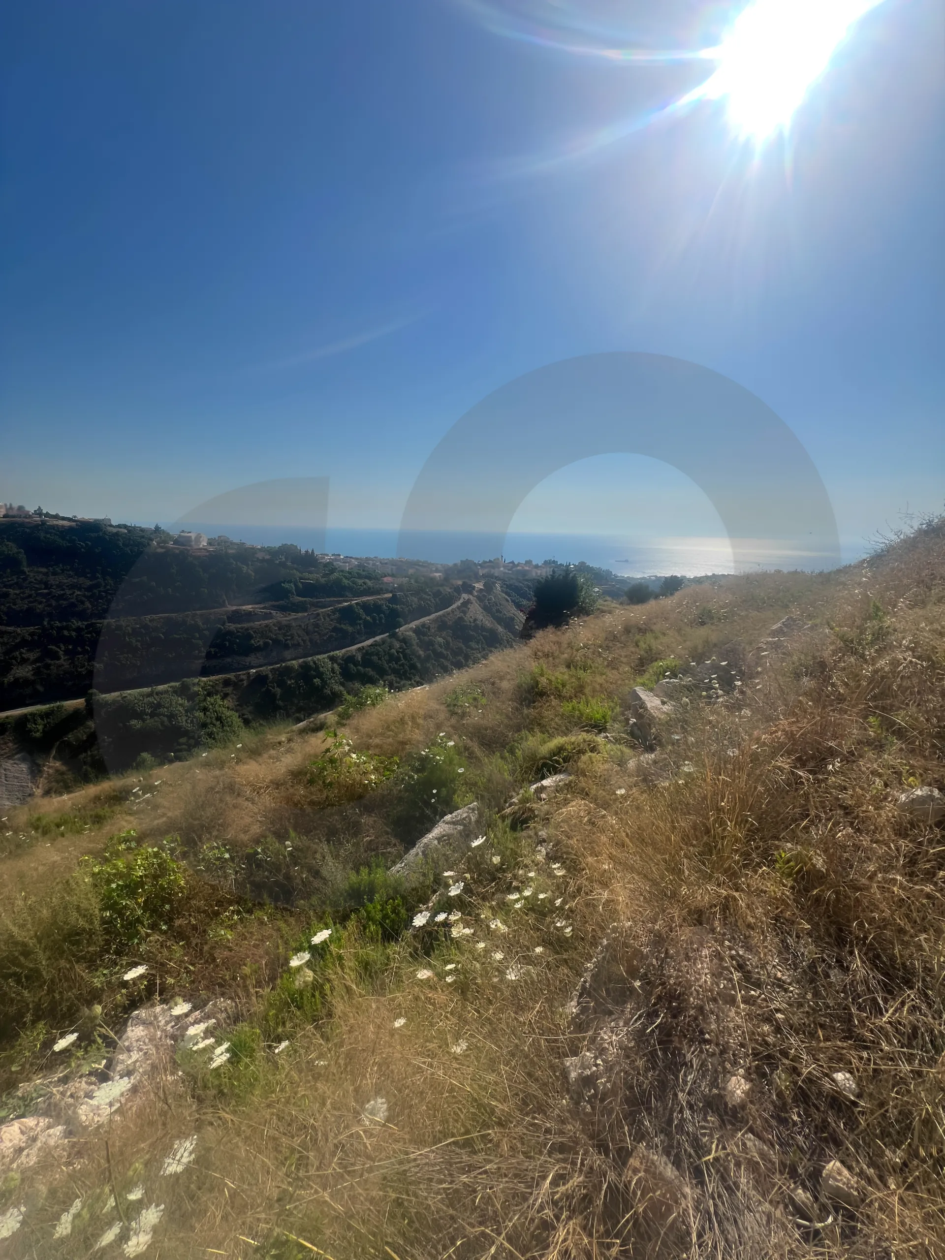 Land for Sale in Edde