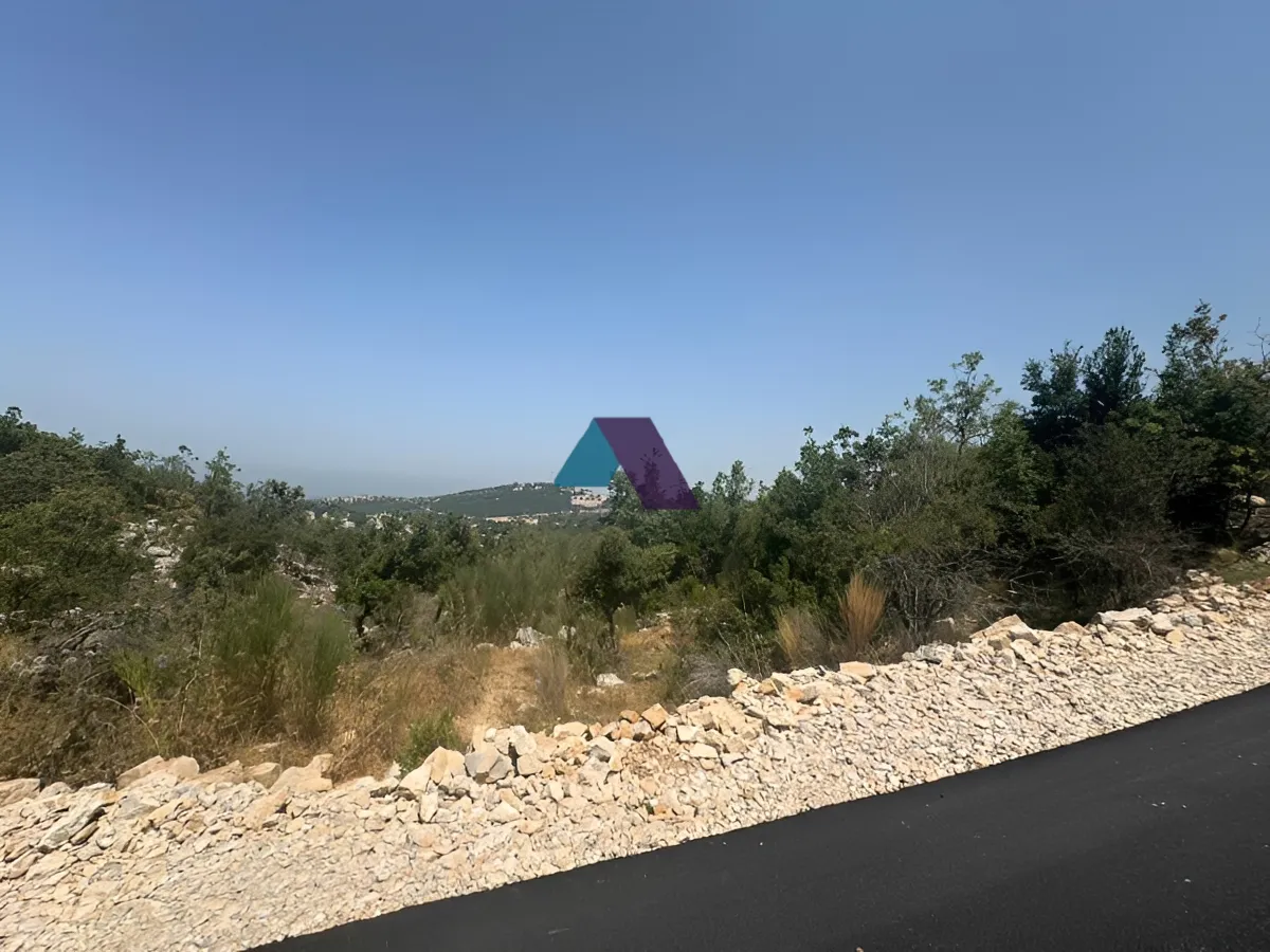 Land for Sale in Mechmech