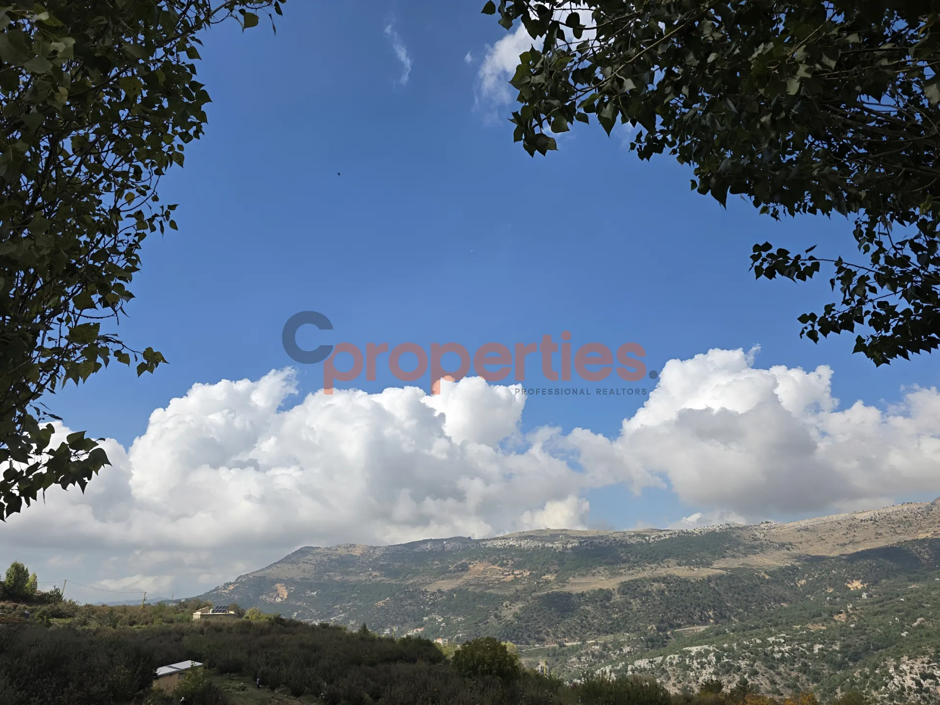 Residential Land for Sale in Zaarour