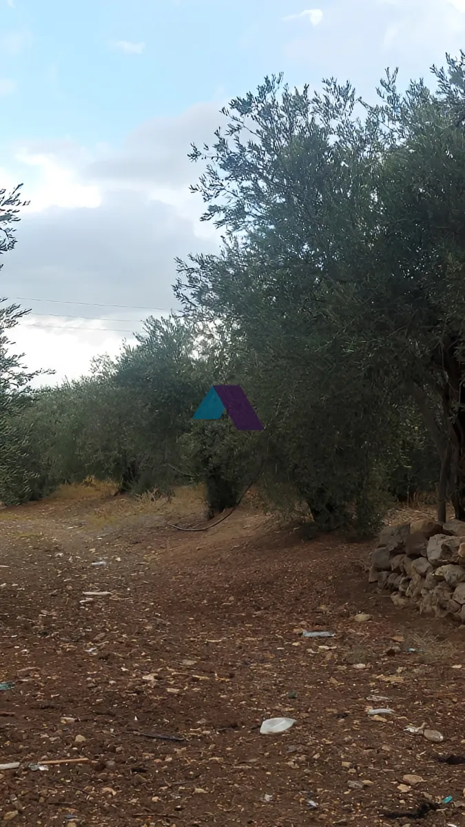 Land for Sale in Koura