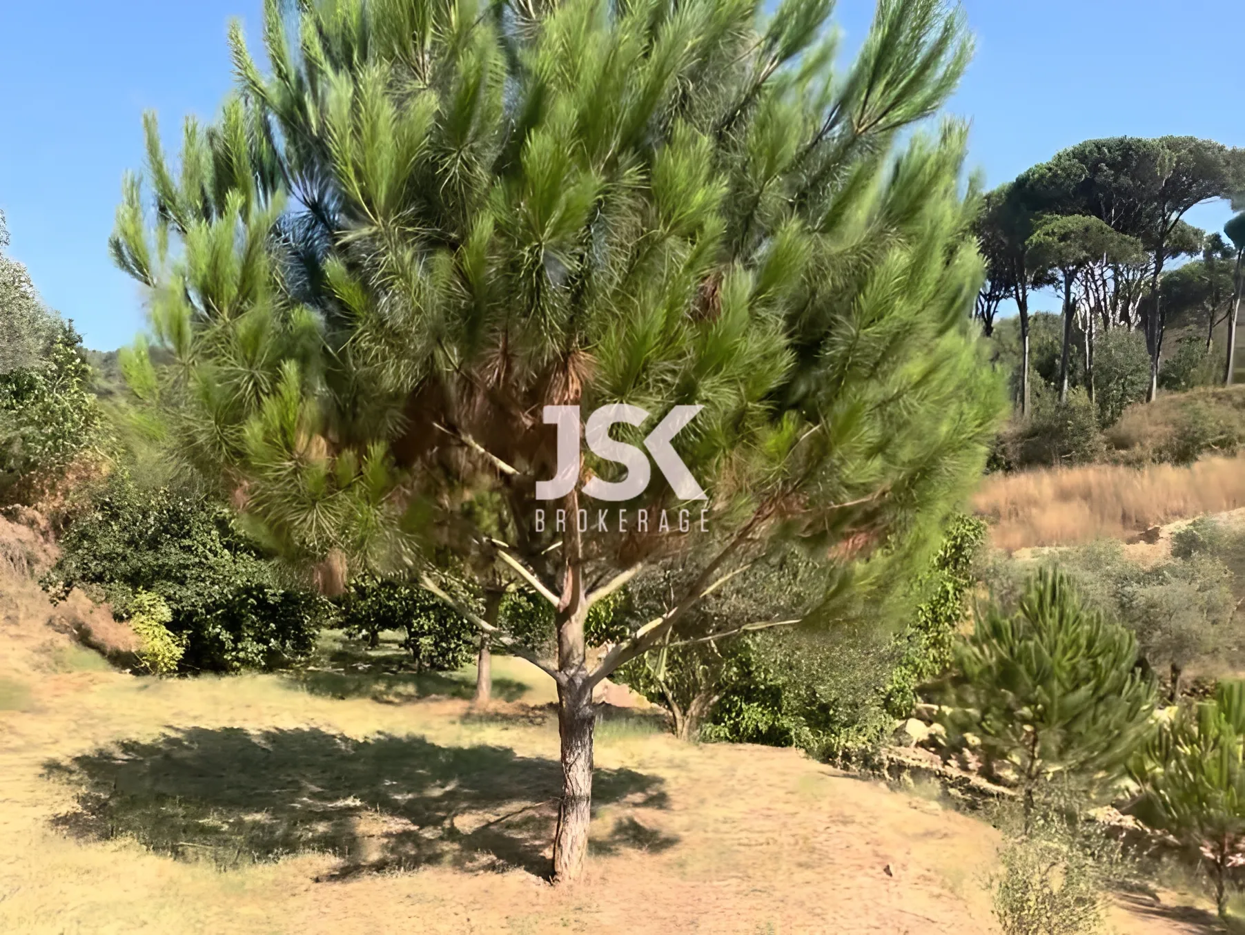 Land for Sale in Aley