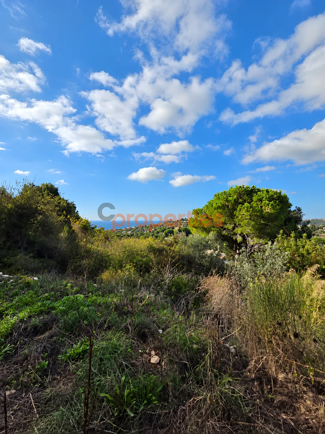 Residential Land for Sale in Jran