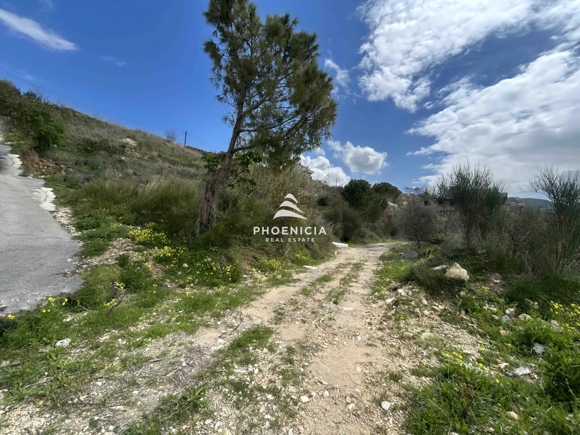 Land for Sale in Habboub