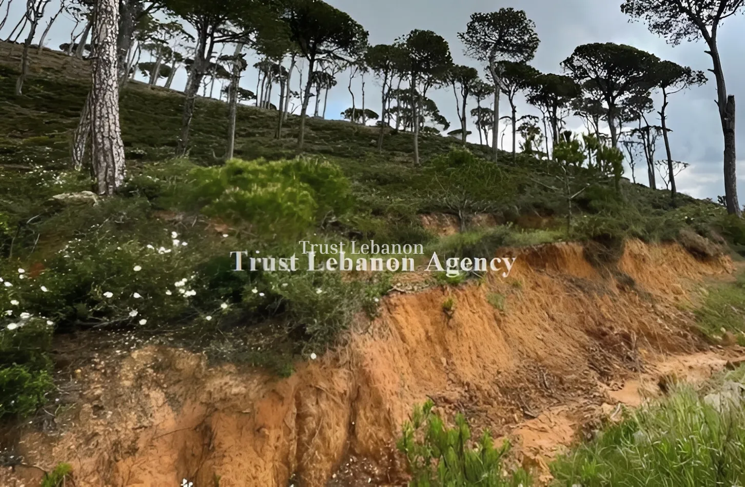 Land for sale in Qaaqour, Lebanon