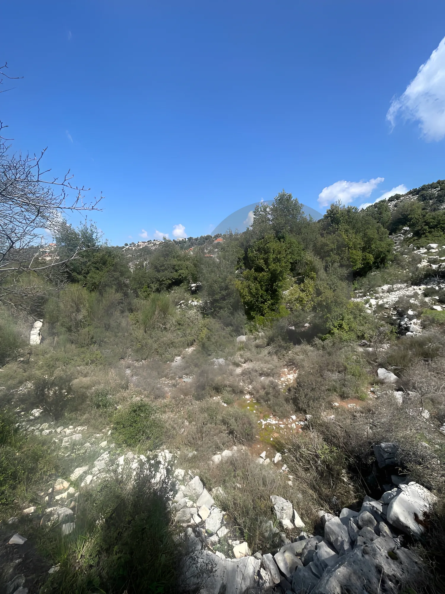 Land for Sale in Mechmech