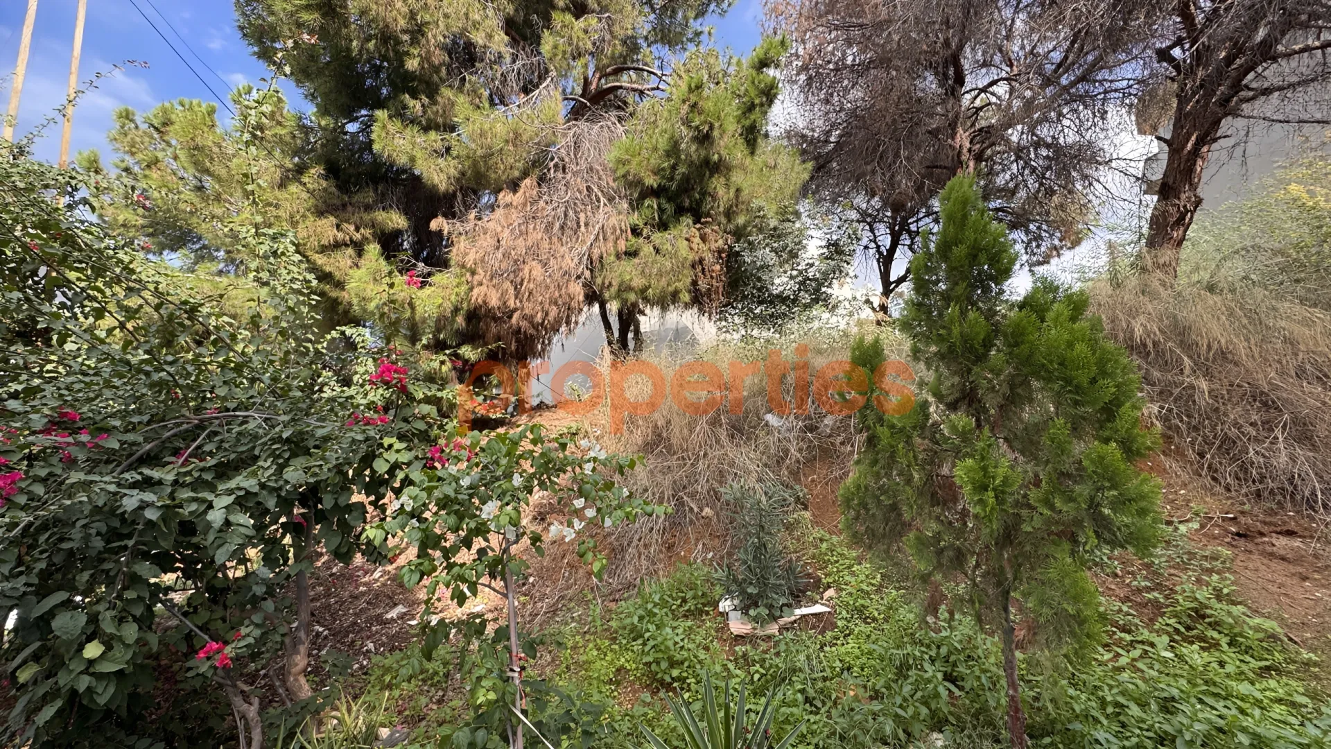 Residential Land for Sale in Aaoukar