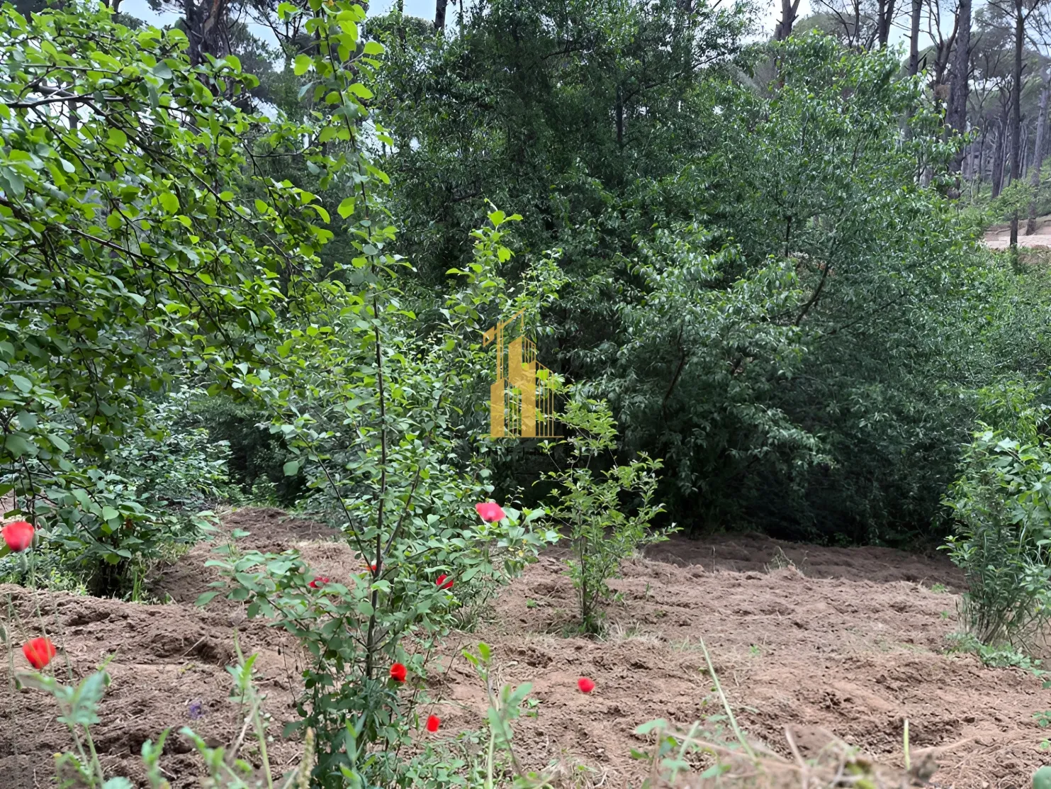 Residential Land for sale in Ighmid, Lebanon