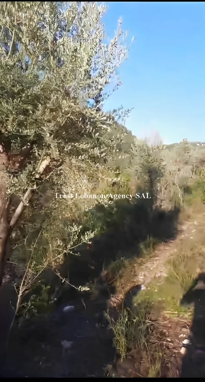 Land for Sale in Jbeil