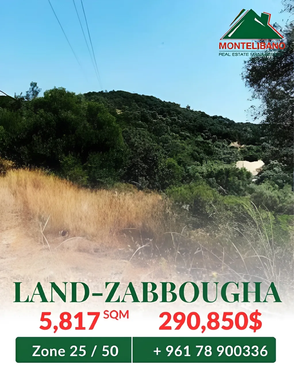 Residential Land for sale in Zabbougha, Lebanon