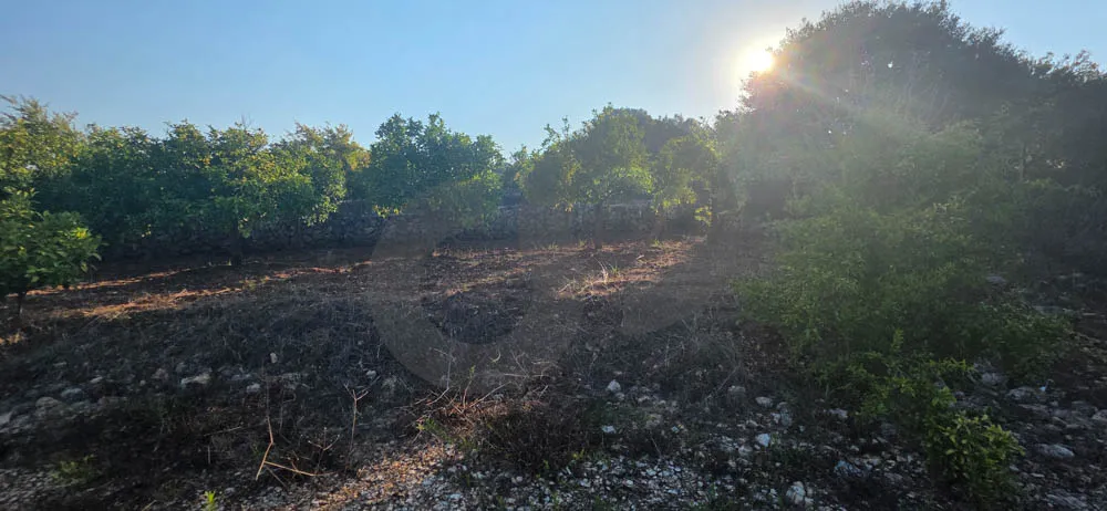 Land for Sale in Koura
