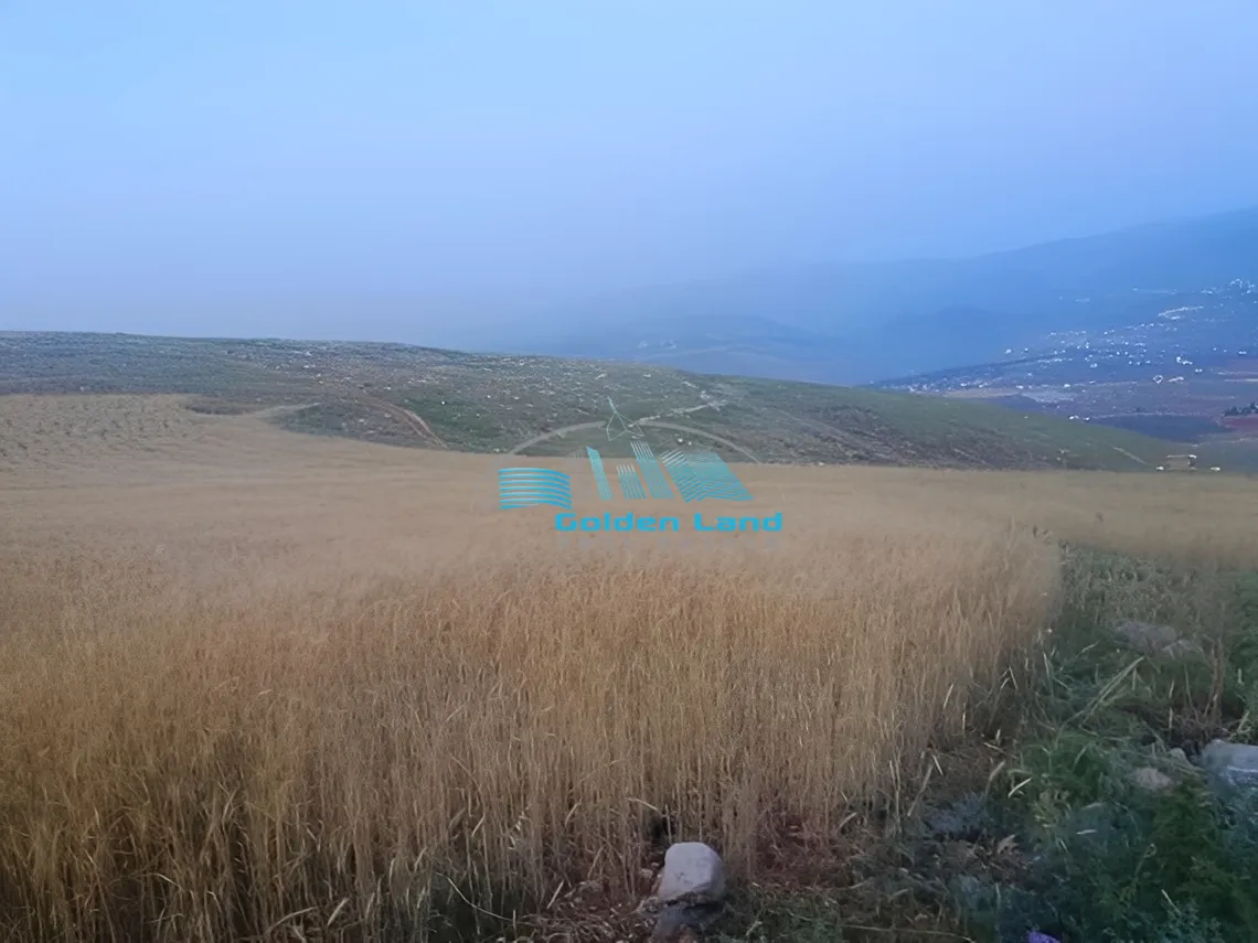 Land for Sale in Terbol, Lebanon