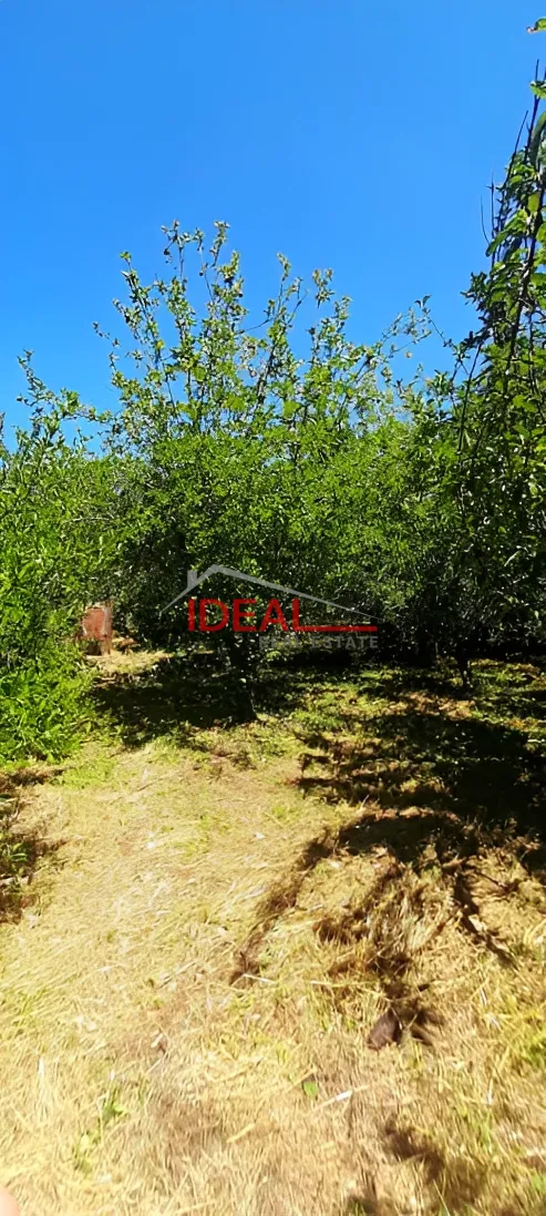 Residential Land for sale in Faitroun, Lebanon