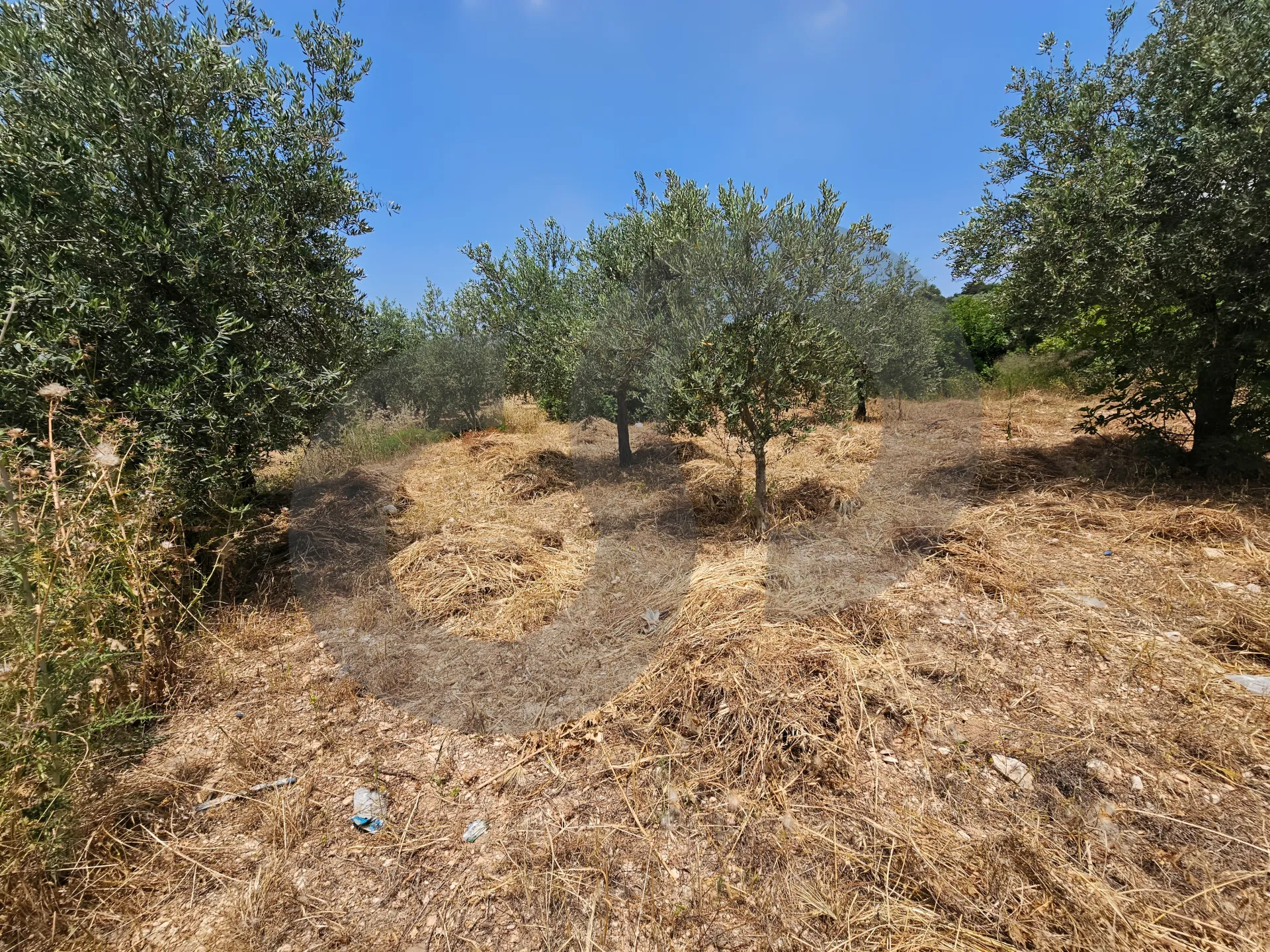 Land for Sale in Koura