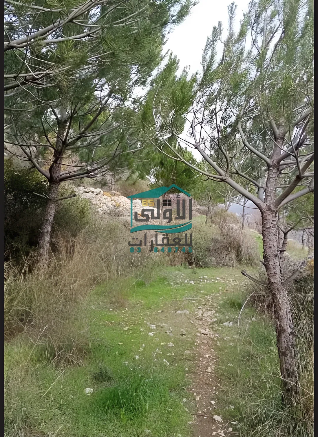 Land for sale in البيرة، lebanon