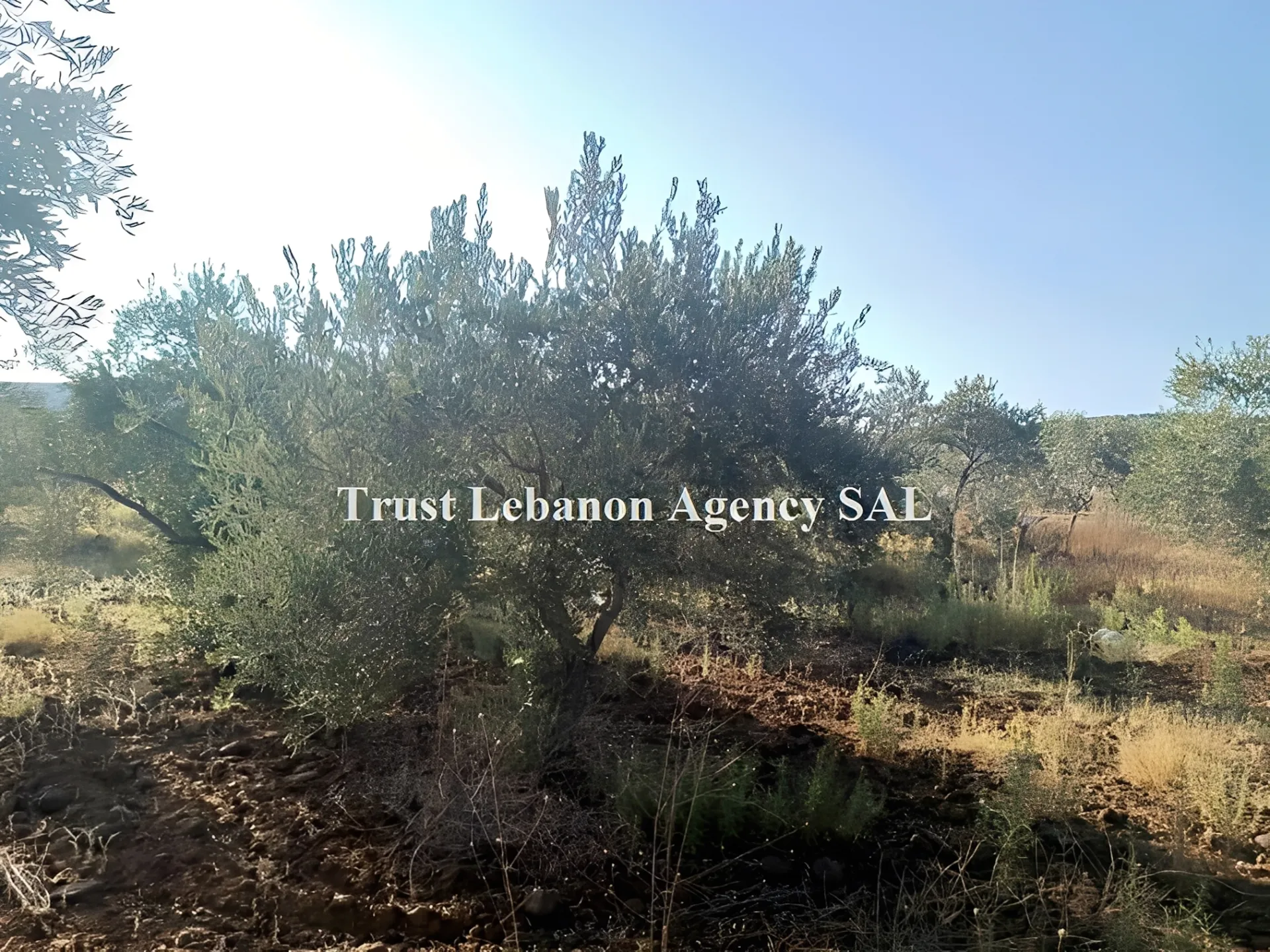 Land for Sale in Hasbaya Lebanon