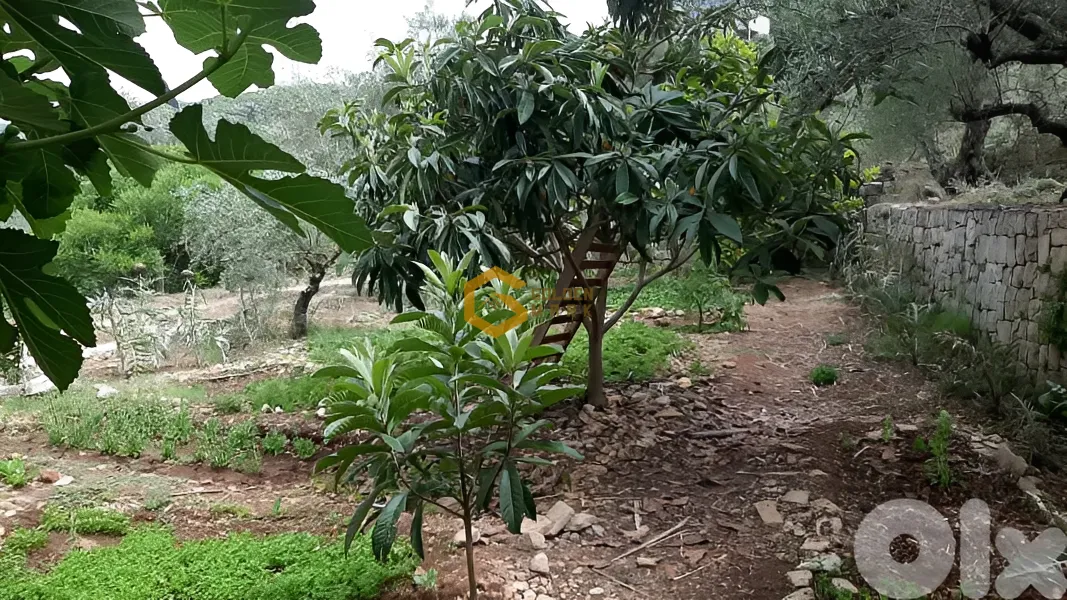 Apartment for Sale in Kfifan