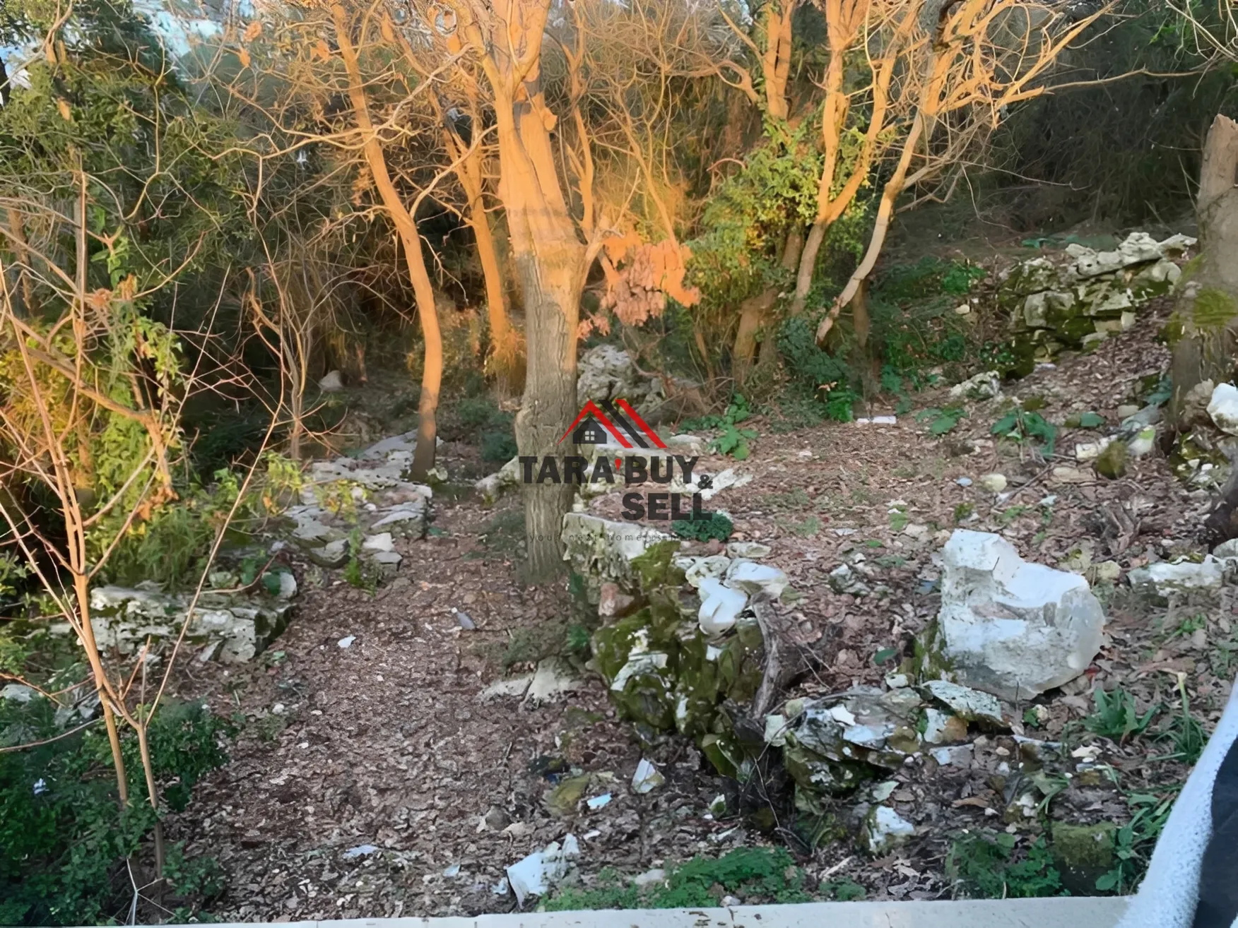 Land for Sale in Hsoun, Lebanon