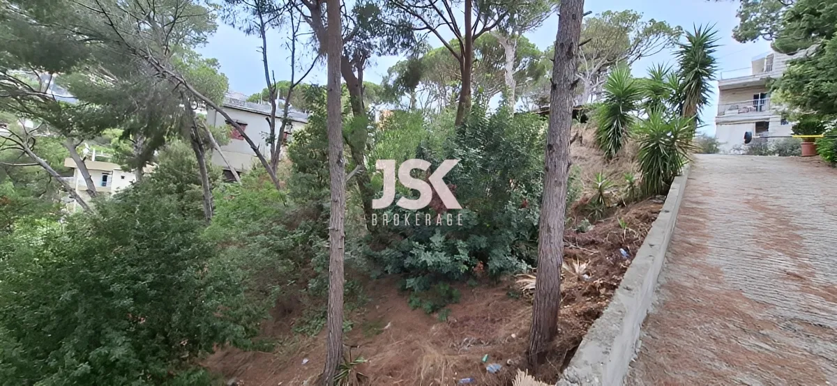 Land for Sale in Nabiyeh, Lebanon