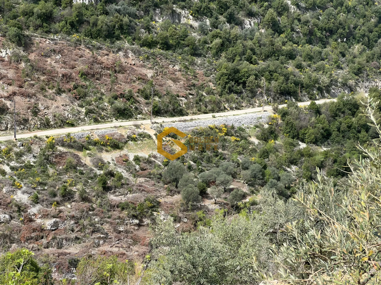 Land for Sale in Batroun