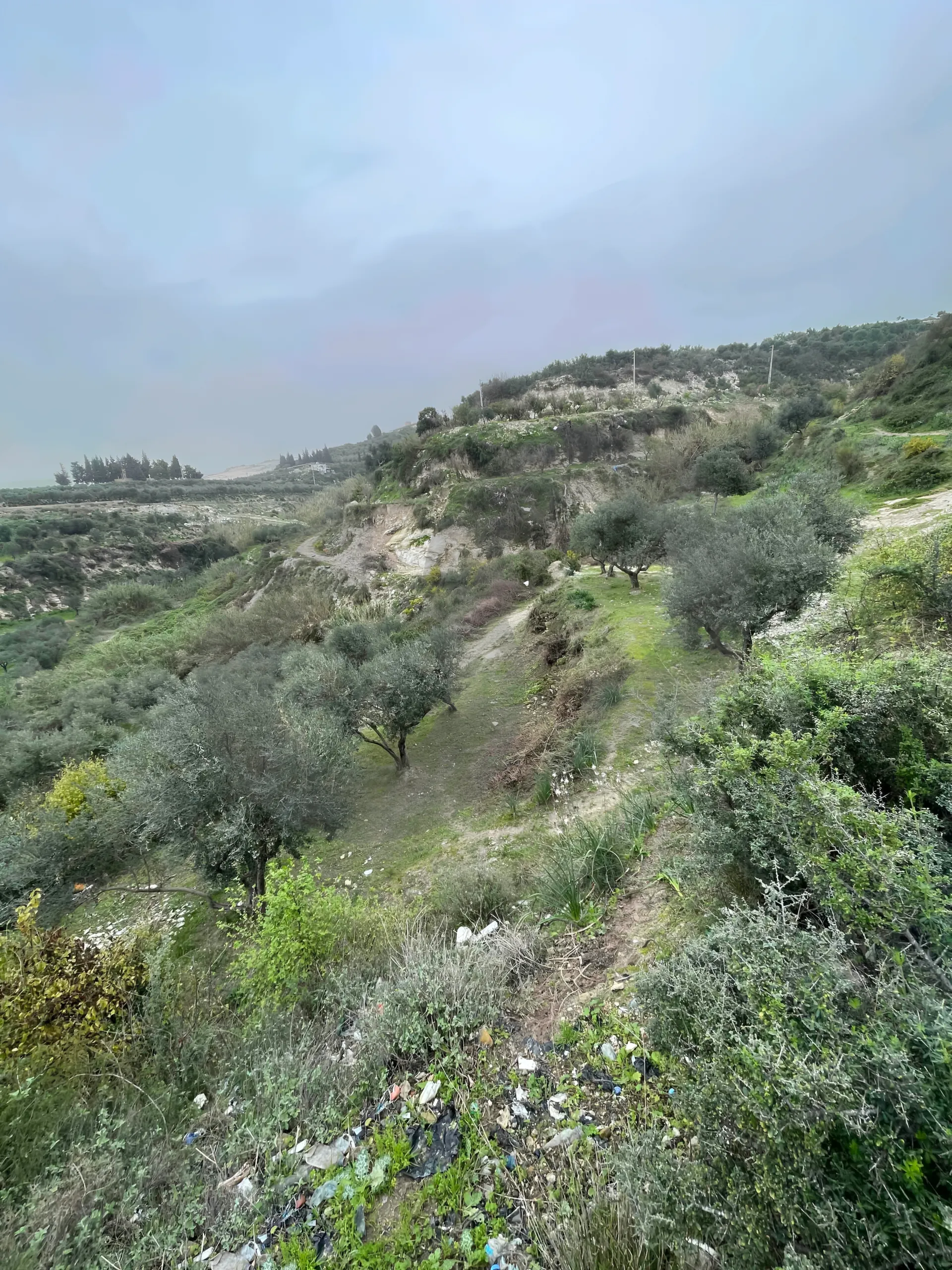 Land for Sale in Chekka
