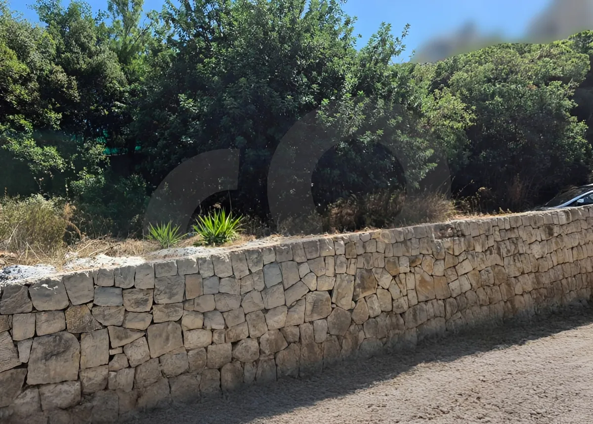 Land for Sale in Mazraat Yachoua, Lebanon