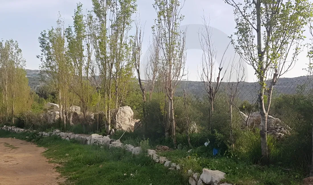 Land for Sale in Lehfed