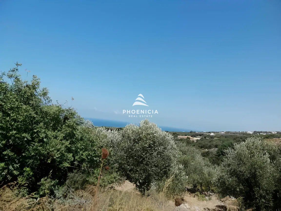 Land for Sale in Monsef