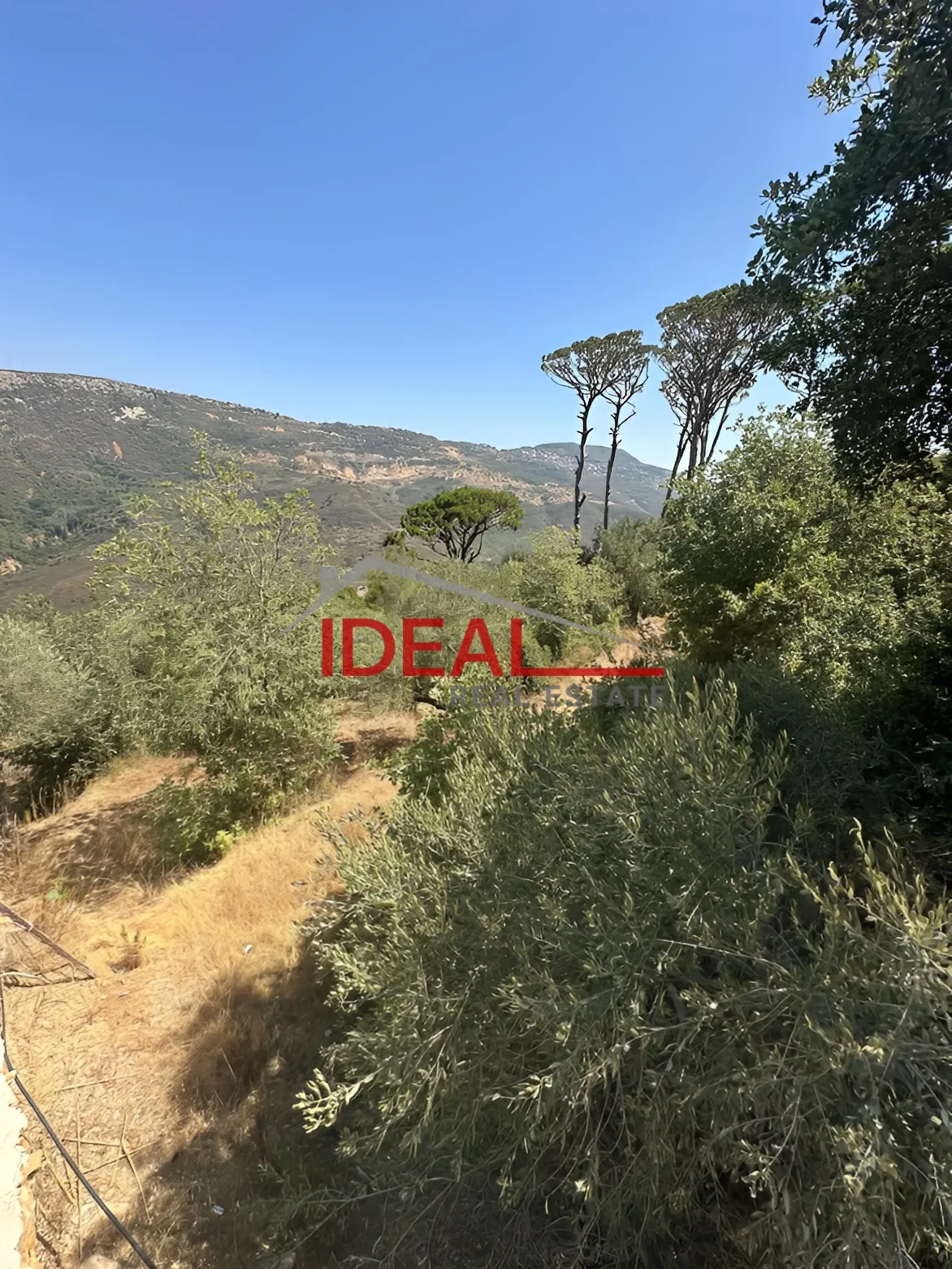 Land for Sale in Dmit, Lebanon