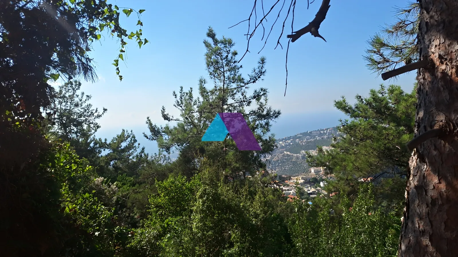 Land for Sale in Nabiyeh