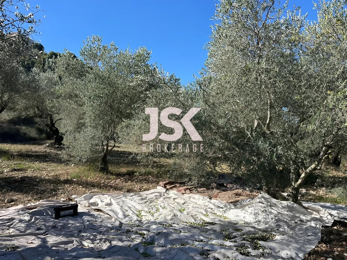 Land for Sale in Bejje , Lebanon