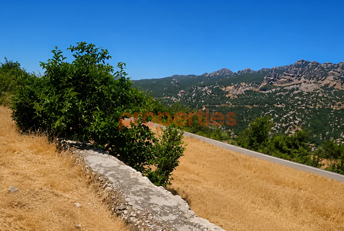 Residential Land for Sale in Faitroun