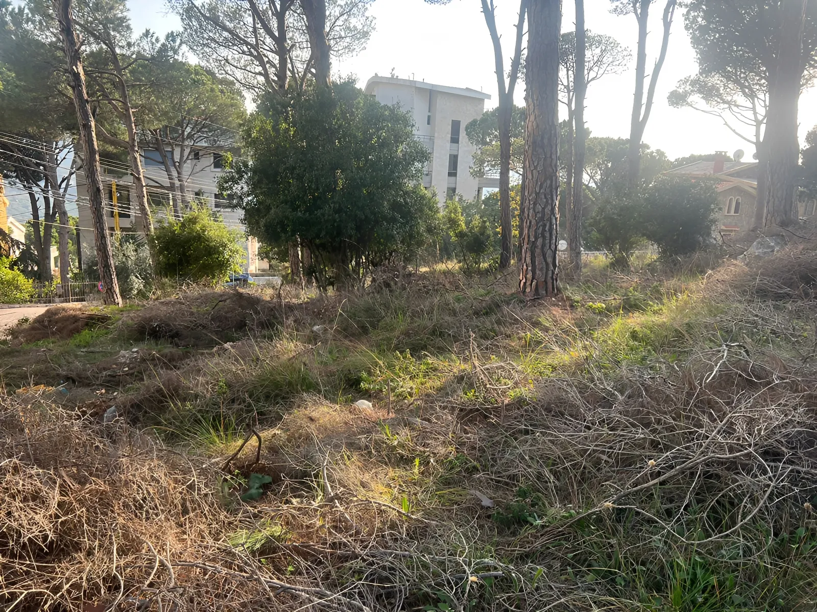 Land for Sale in Broummana