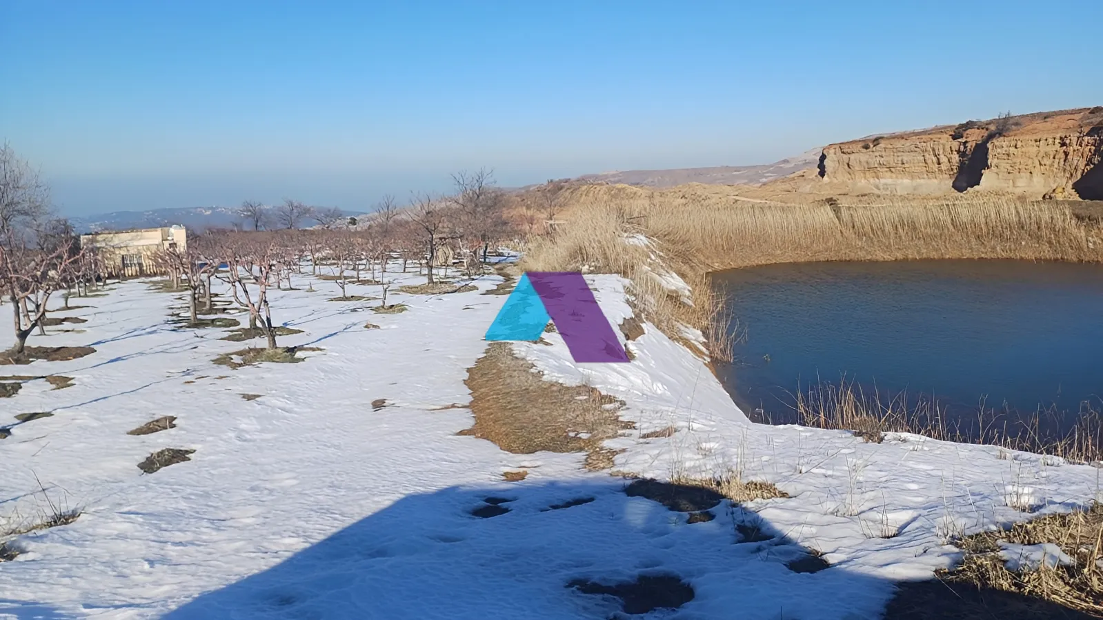 Land for Sale in Tarchich