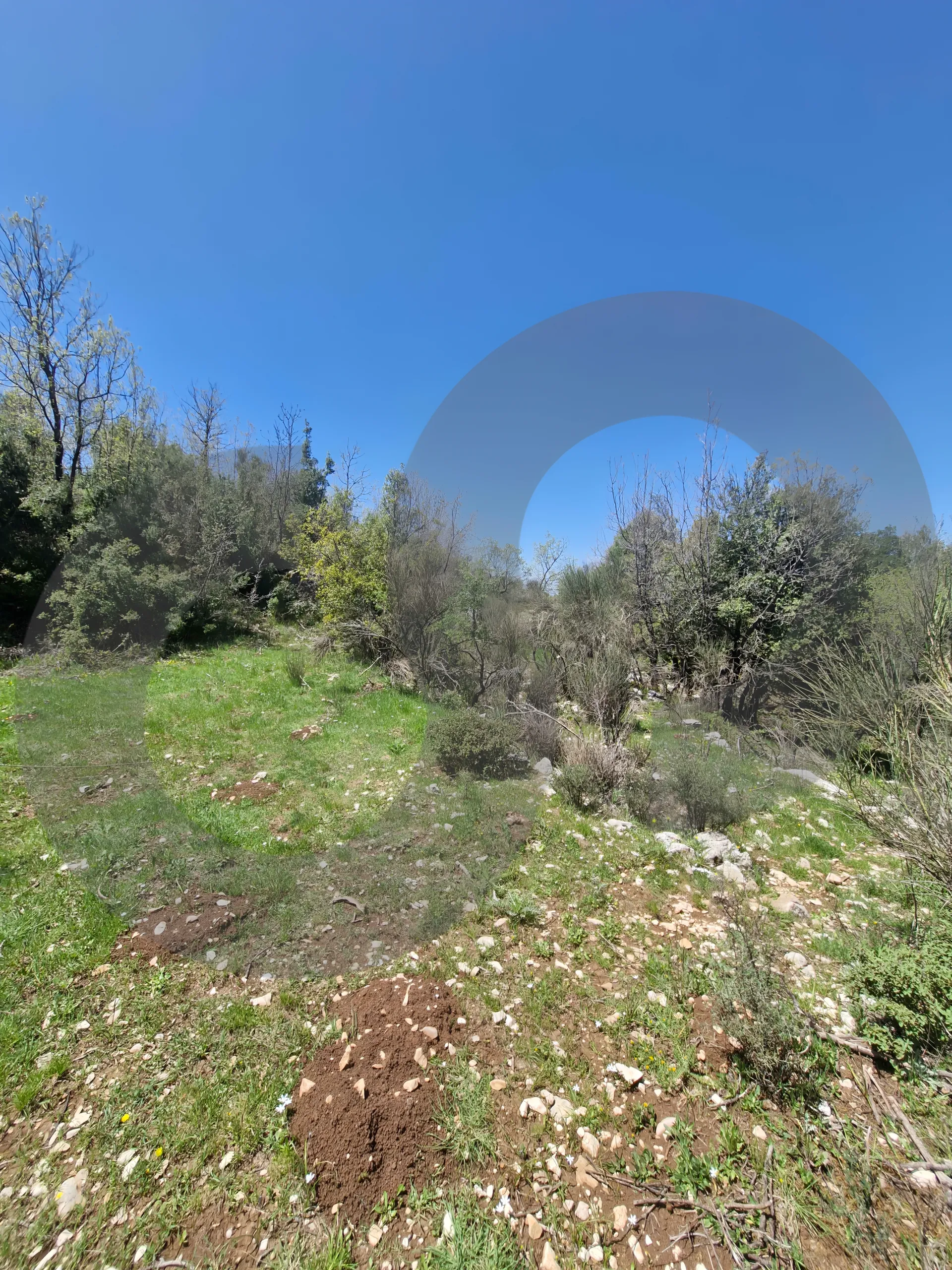 Land for Sale in Mechmech