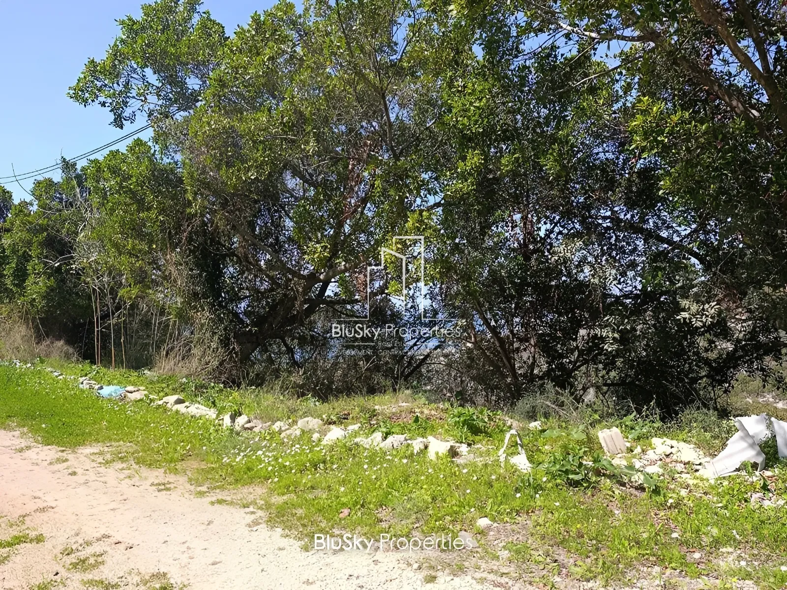 Land for Sale in Fidar
