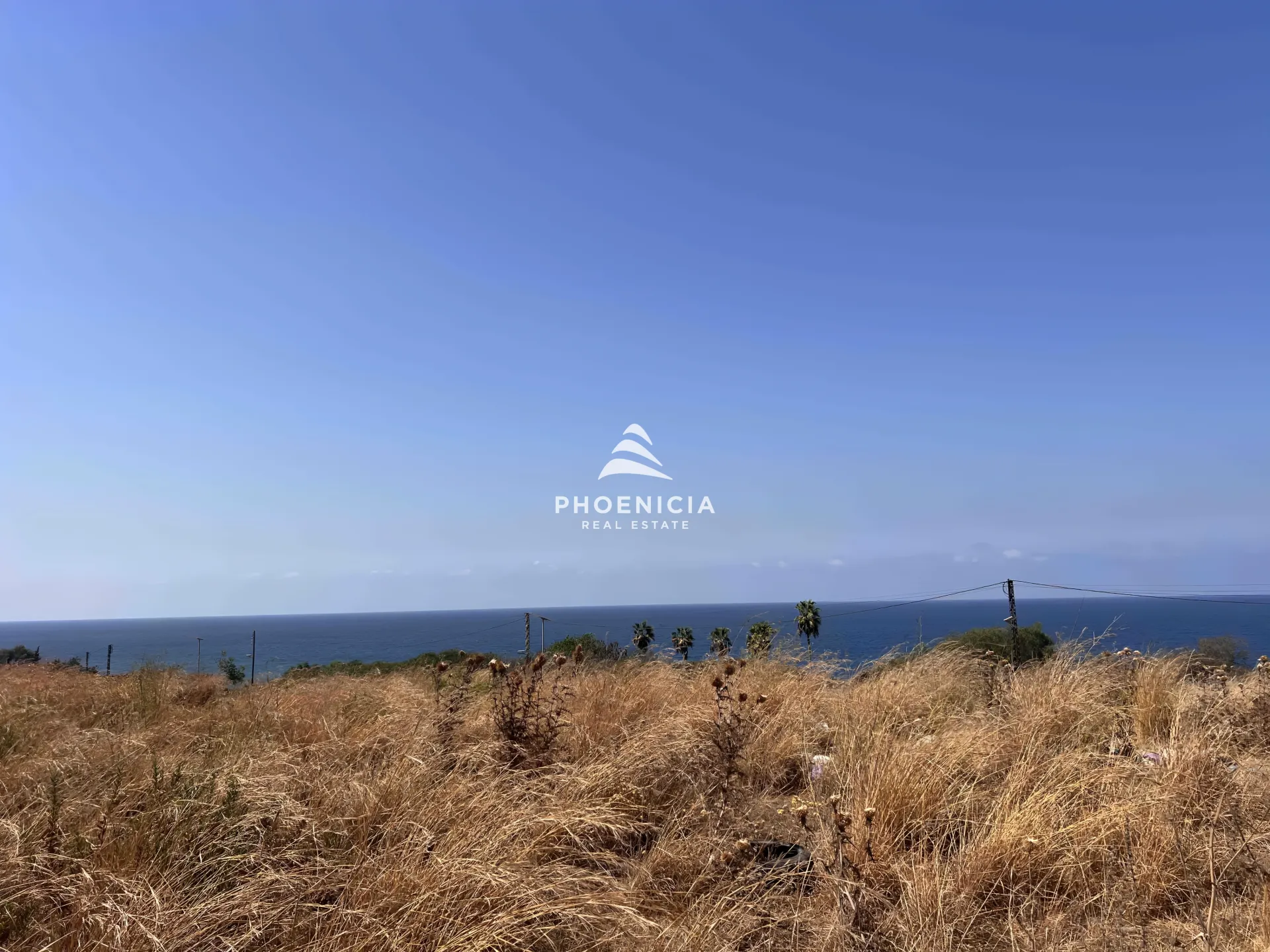 Land for Sale in Berbara