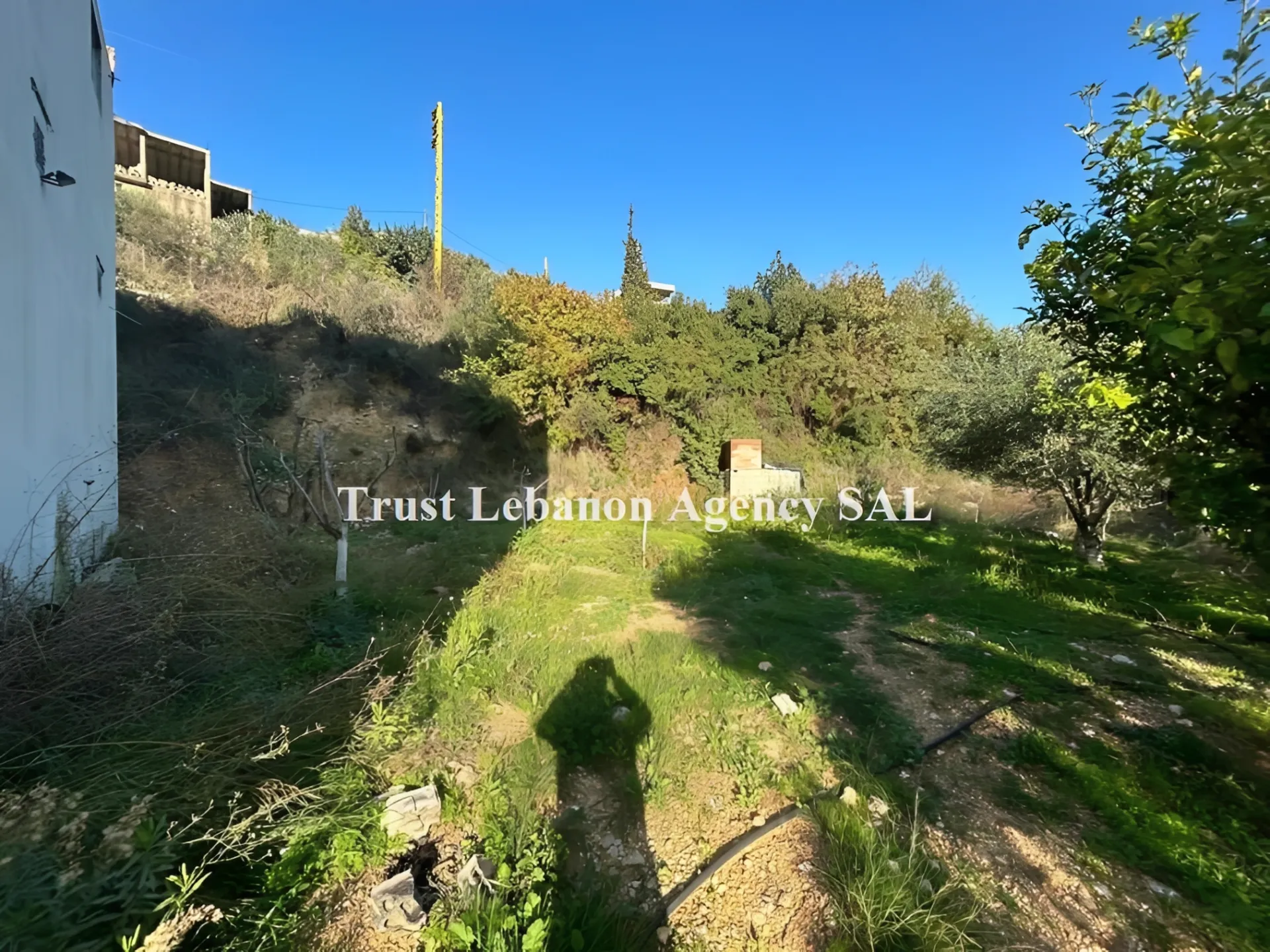 Commercial Property For Rent in Jbeil,