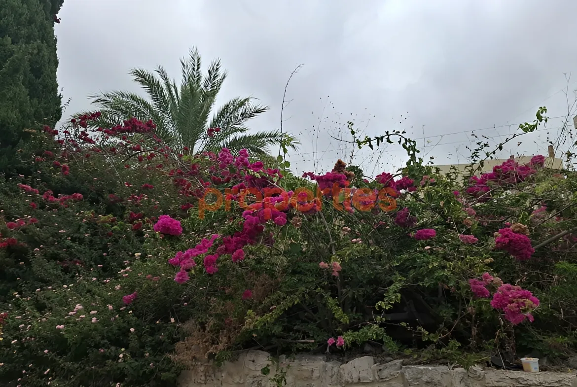 Residential Land for Sale in Byblos