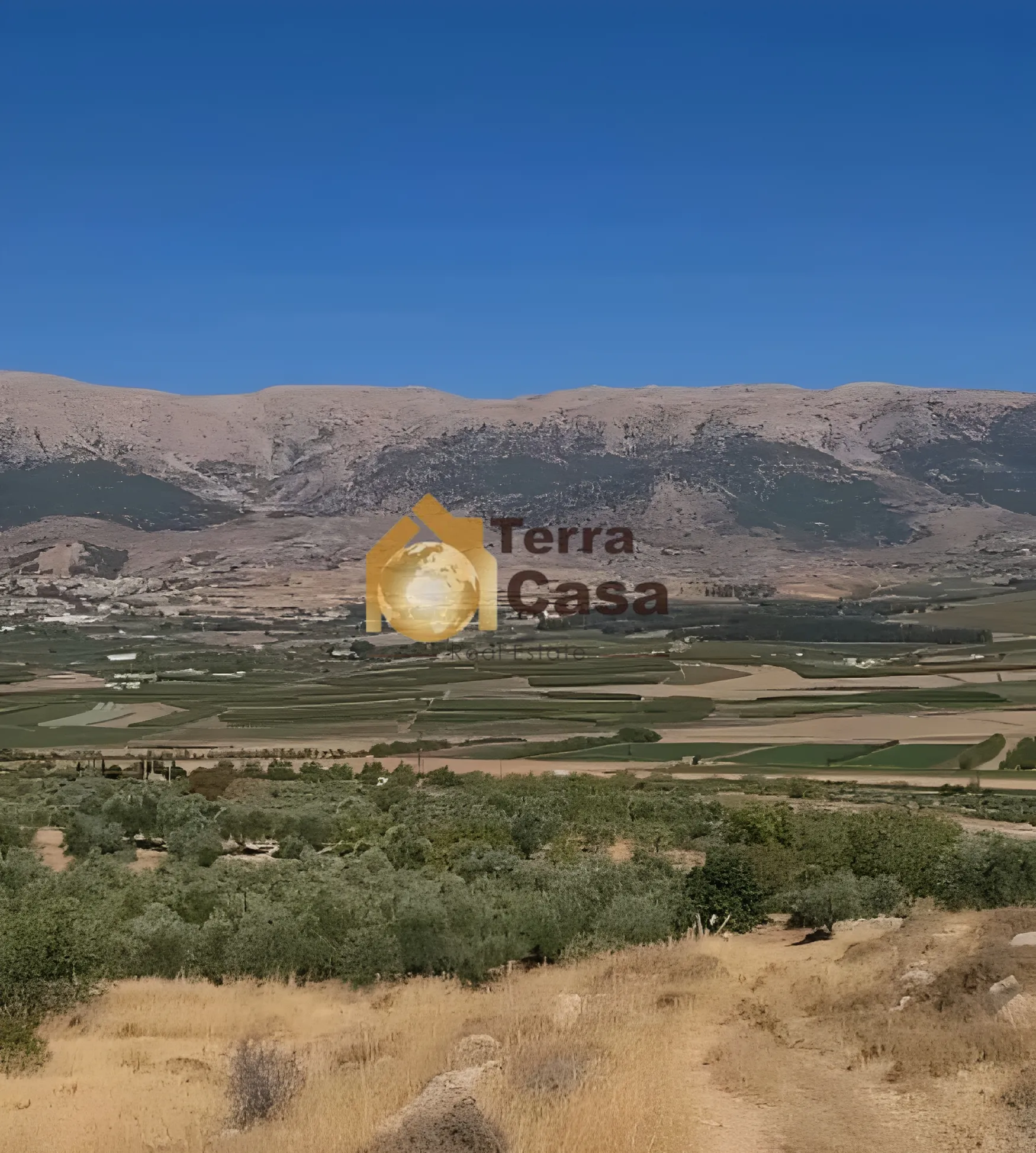Land for Sale in Lala West Bekaa 3130 Sqm