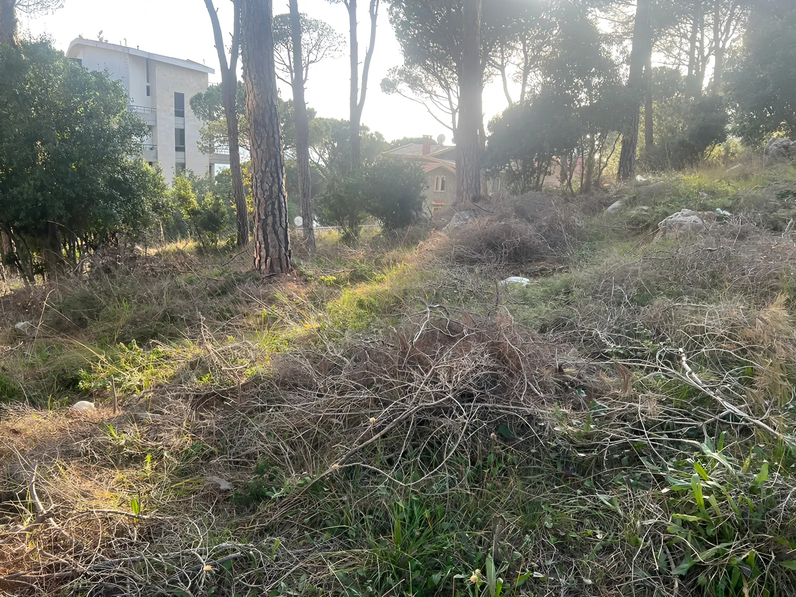 Land for Sale in Broummana