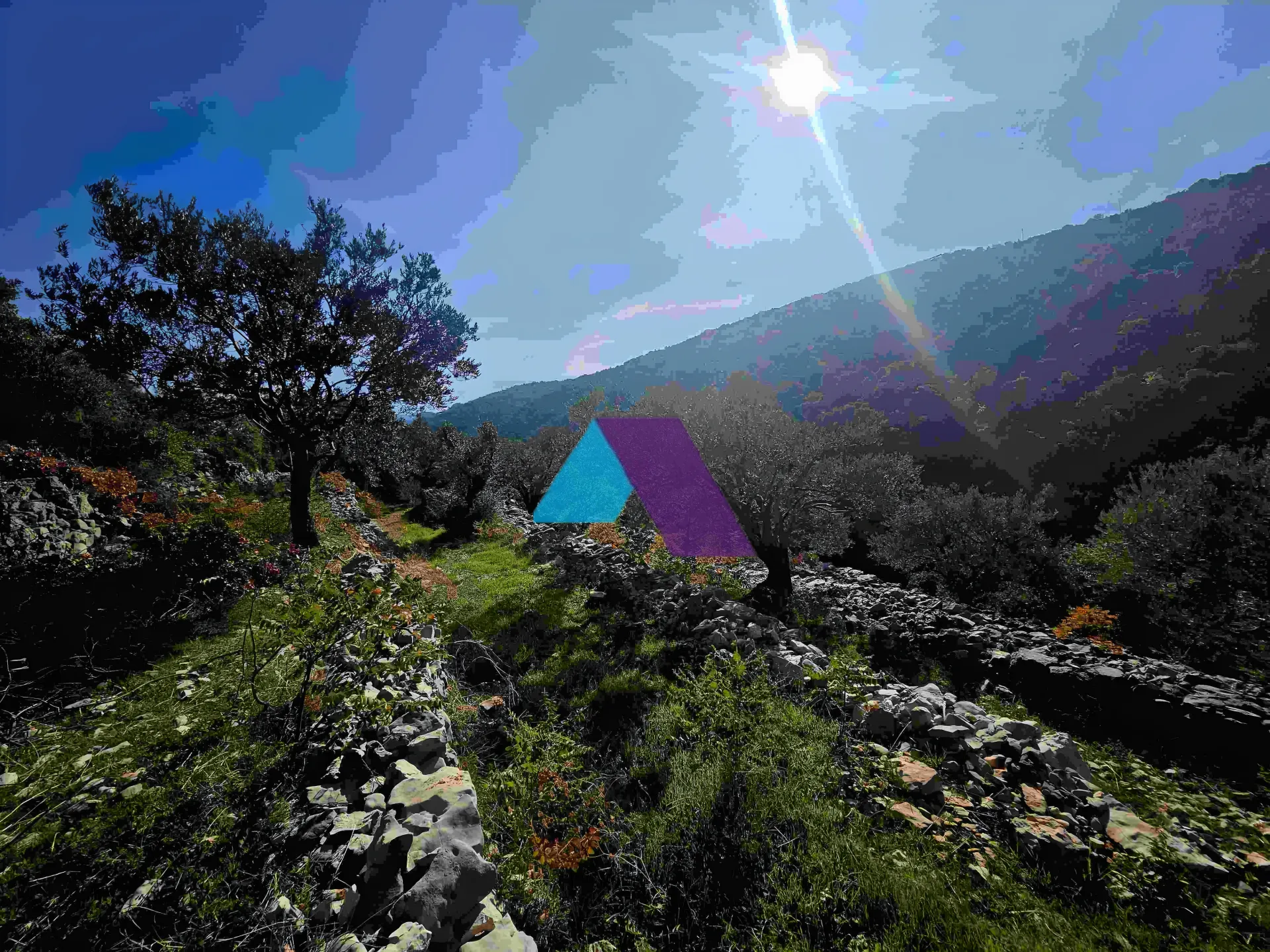 Land for Sale in Chabtine